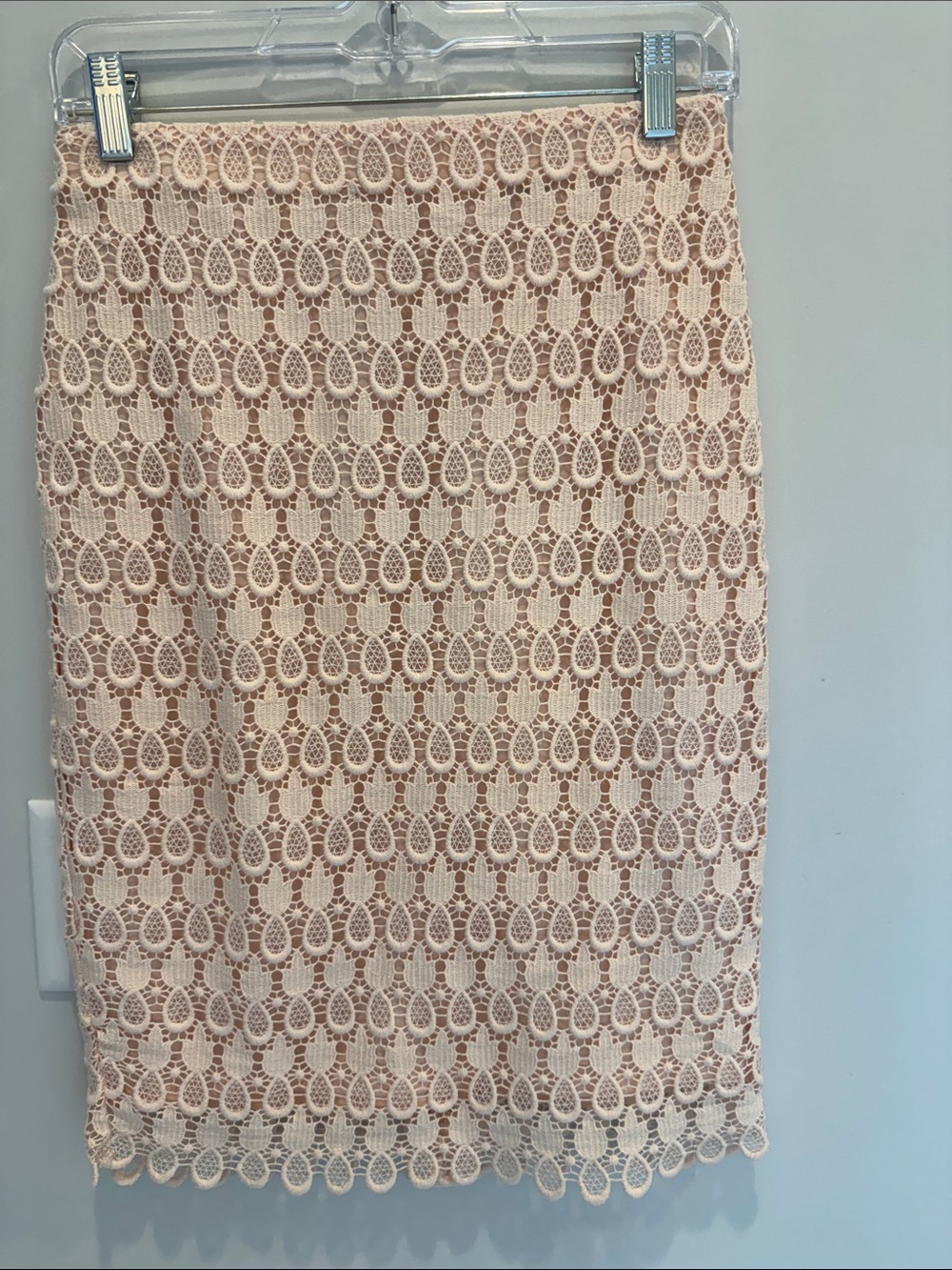 Ann Taylor Lace Pencil Skirt in Blush